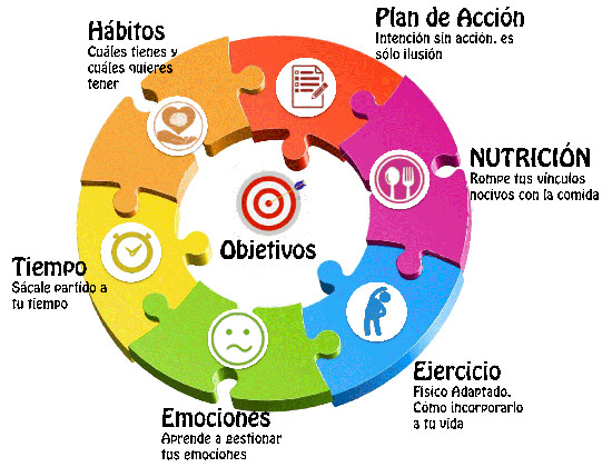 Proceso de Asesoramiento Nutricional - Programa para bajar de peso +Bio Clinik