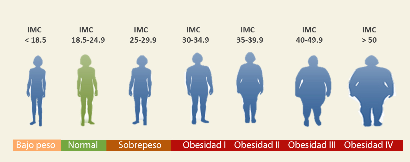 Indice de Masa Corporal, Sobrepeso +Bio Clinik